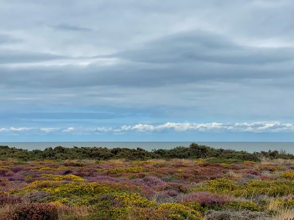 dunwich.jpg