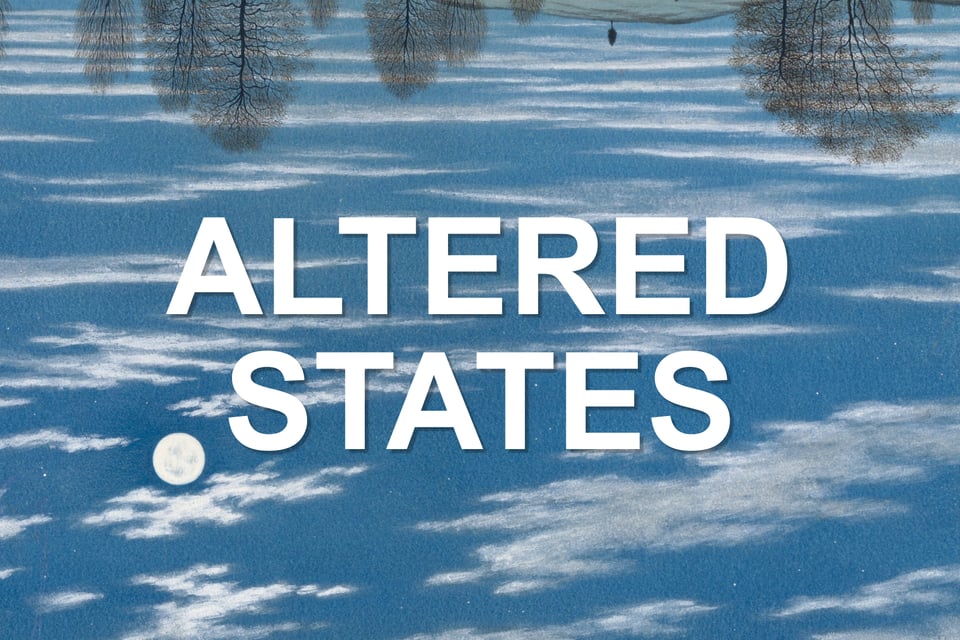 The words "Altered States" on an inverted painting with the trees in the sky and the moon in the lower left hand corner