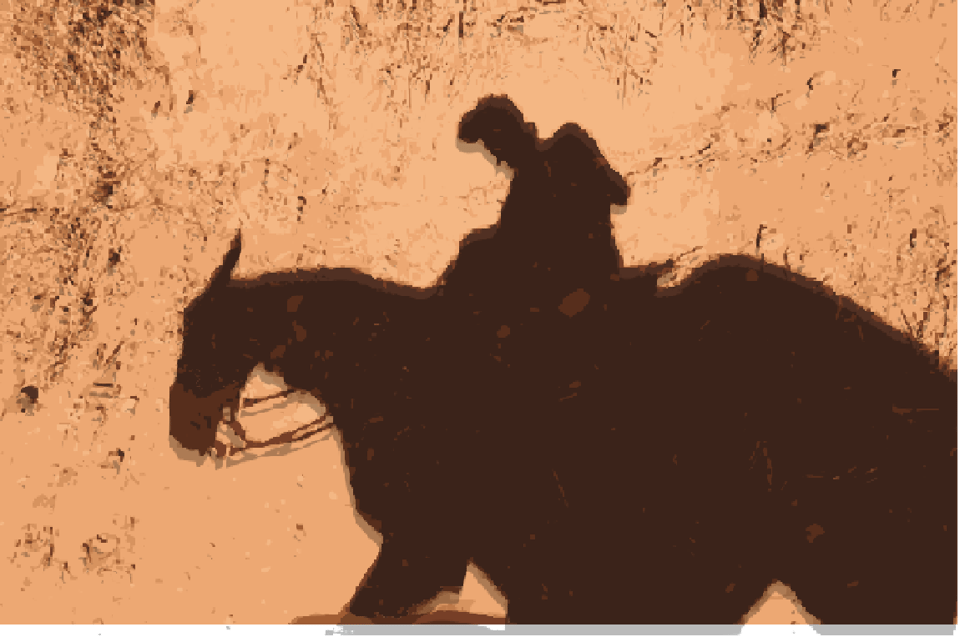 a low resolution shadowed silhouette of a man on horseback against a backdrop of mud and brush