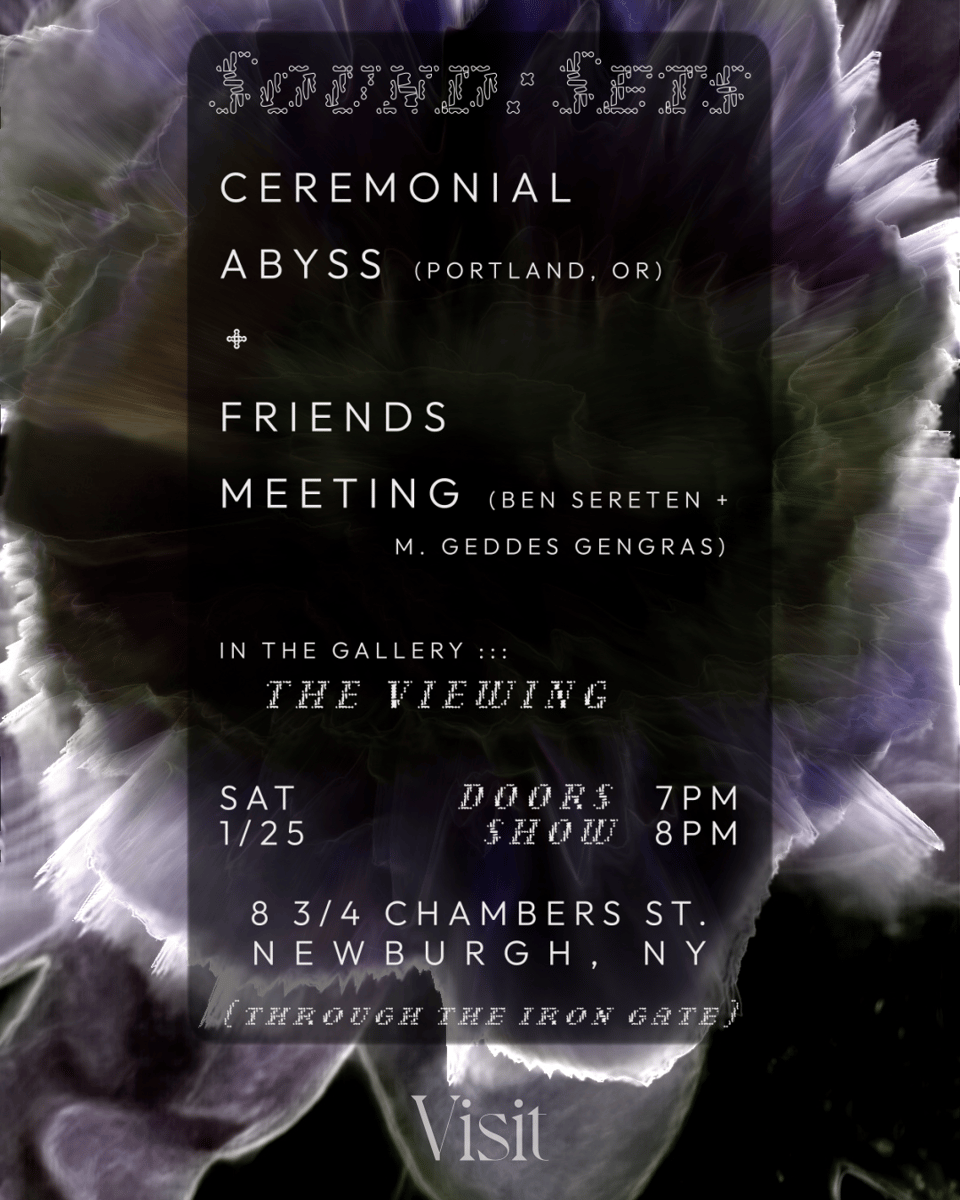 flyer for an experimental music gig happening at Visit in Newburgh, NY on Saturday, January 25th - white text against a dark background of a blooming flower