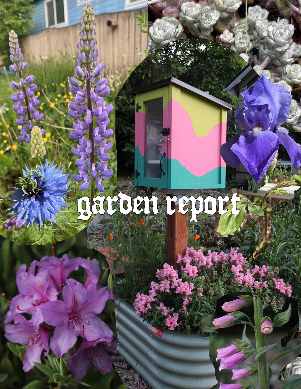 garden report: flower collage from elliott’s garden with the lil free zine library as the focal point.