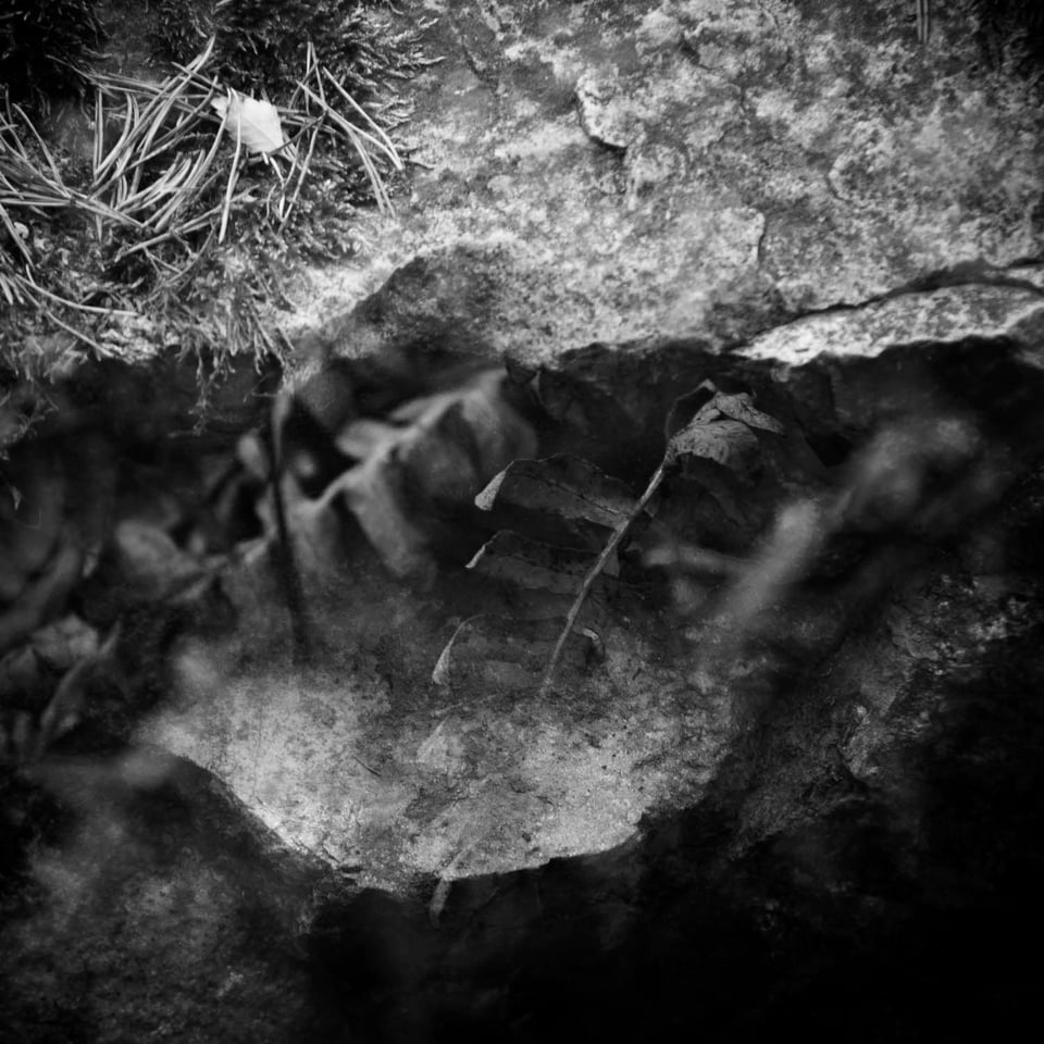 Double exposure of rock that has a mouth shape, and leaves placed within that mouth, creating an image of consuming.