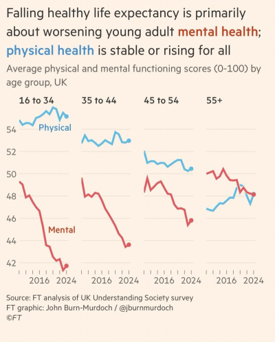 Great_clarification_of_the_fall_in_healthy_life_expectancy_in_the_UK_2ee6575f_1_chosen.png