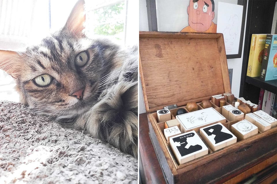 2 digital Instax photos: left, a tabby cat's face as it looks at the camera while lying on its side; right, a boy of various rubber stamps