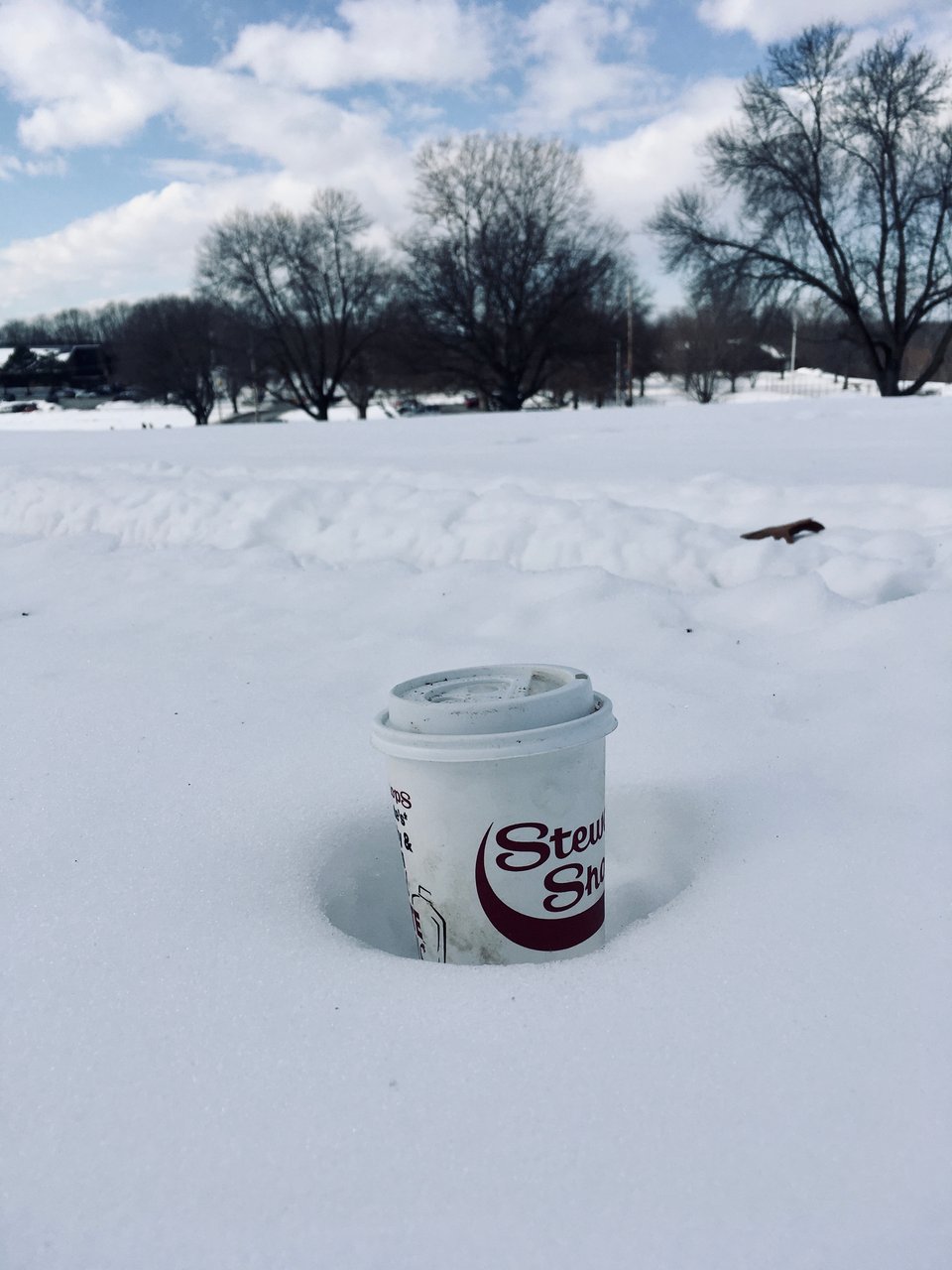 Frear Park covered in snow. in the foreground is a dirty Stewart's coffee cup.