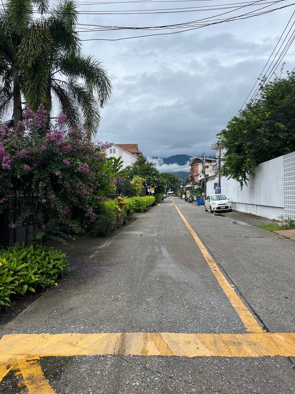 a long street with palm trees and a bush of purple flowers, at the end of which is mountains in the distance, mist, clouds