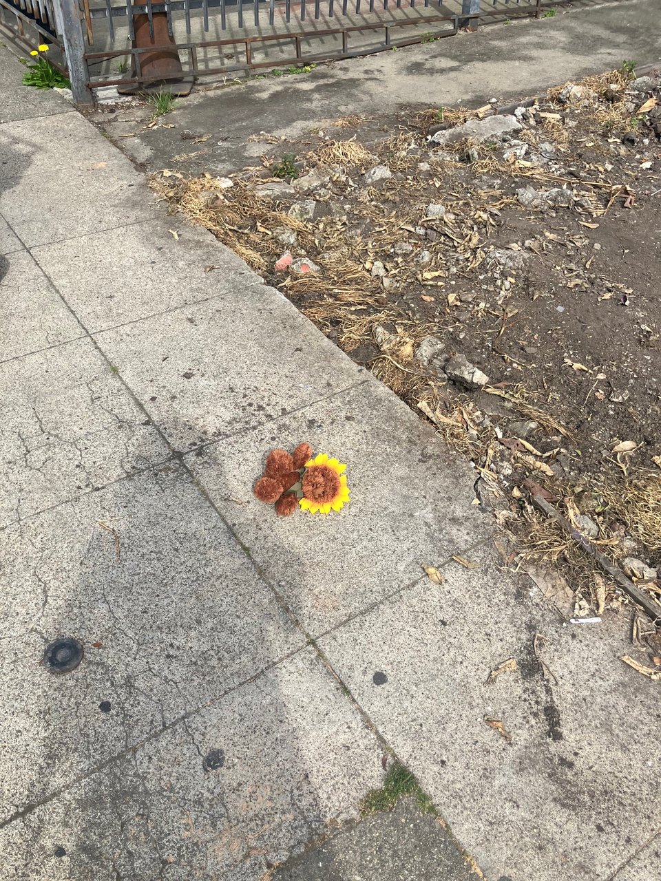 A stuffed bear with a sunflower hat lies on its side on a sidewalk.