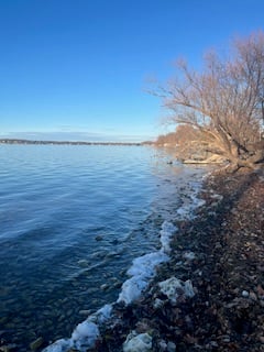 a mostly still lake along the shore, with sunlit bare trees in the distance