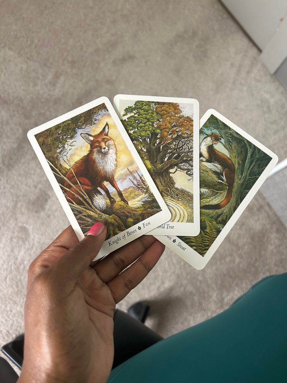 a photograph of a brown hand holds three tarot cards depicting a fox, a tree, and a ferret.