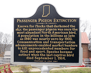 foiaday 042 + 043 + 044 + 045 + 046