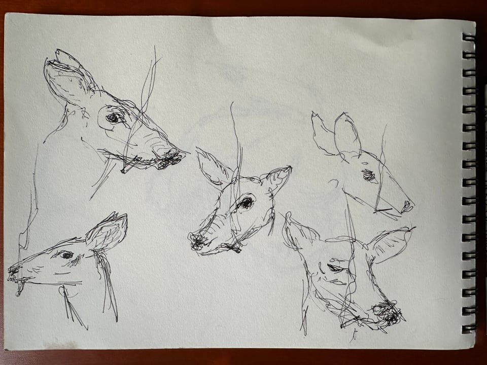 Ink sketches of deer and fawns, each smoking a cigarette
