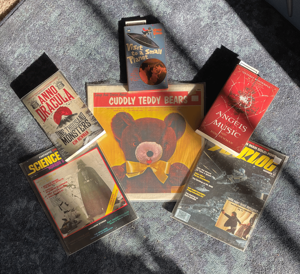 A collection of books, magazines, and records on a blue carpet with golden hour sun