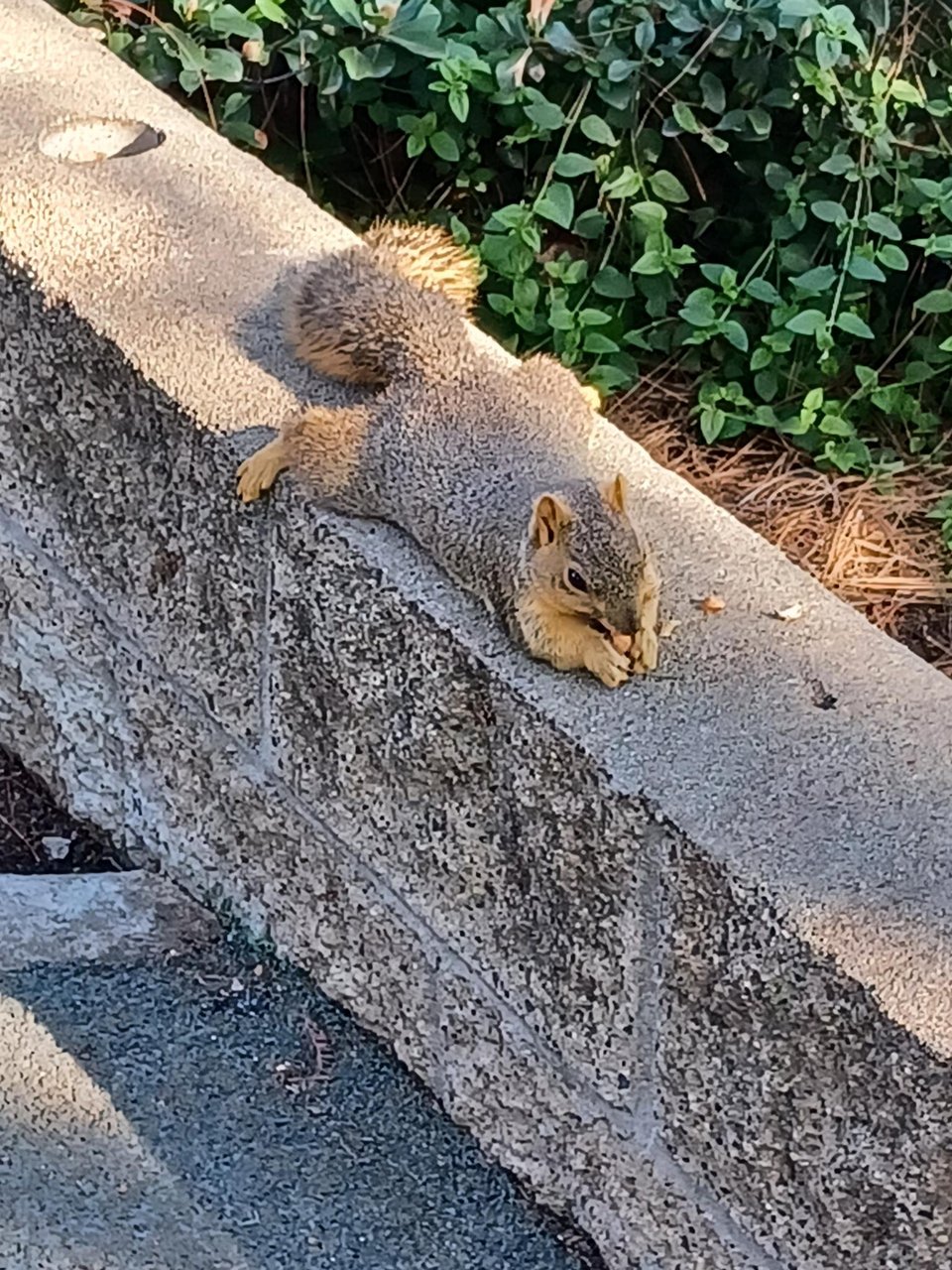 What does it take to divest from Thanksgiving?