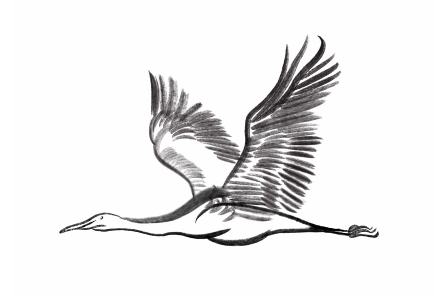 Brush painting of a crane in flight, with its wings outstretched