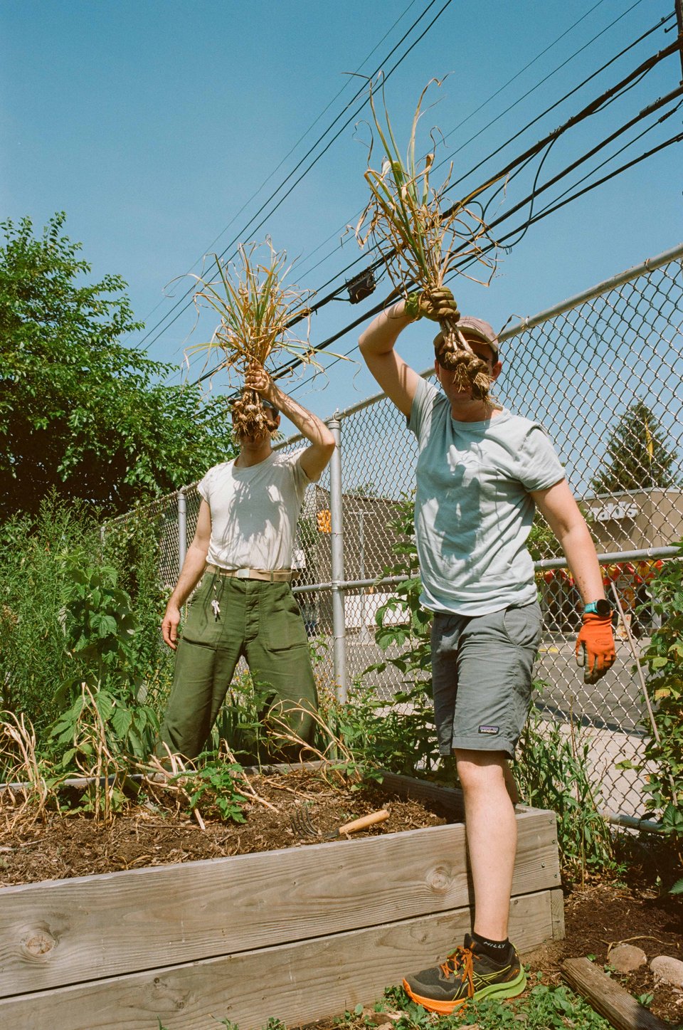 alex and michael hold bundles of garlic up in front of their faces