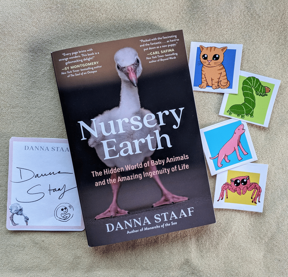 A photo of the paperback Nursery Earth with a baby flamingo photo, a signed bookplate with a flamingo drawing in the corner and a doodle of a tadpole in an egg next to the author's signature, and four square stickers of colorful cute baby animals drawn by me.