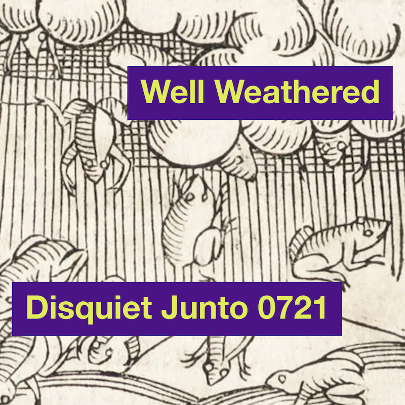 Frogs falling from clouds, plus the name and number of the project