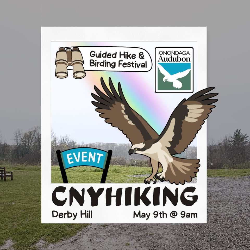 🌈 Upcoming Birding Hike at Derby Hill! 5/9 @ 9AM