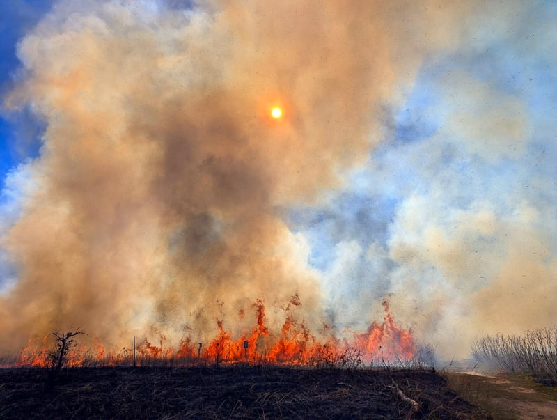 Through April, you’ll occasionally see smoke rising above Frontenac State Park prairie swatches, carefully torched every spring or fall to encourage natural prairie plant progression and to keep invasives at bay. / Photo by Jake Gaster
