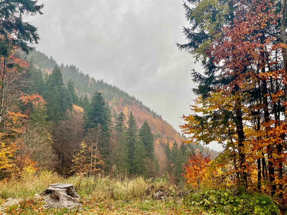 Fall foliage view Unterammergau