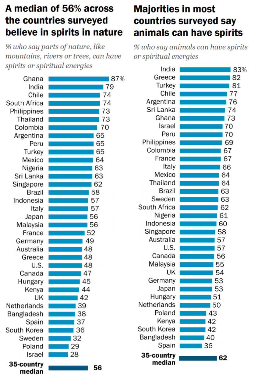 A dual bar chart from a Pew Research Center survey visualizing beliefs in spirits or spiritual energies across 35 countries. The left chart shows the percentage of people who believe parts of nature (e.g., mountains, rivers, trees) can have spirits, with a 35-country median of 56%. Top countries include Ghana (87%), India (79%), and Chile (74%), while the lowest include Israel (28%), Poland (29%), and Sweden (32%). The right chart shows the percentage of people who believe animals can have spirits, with a 35-country median of 62%. India (83%), Greece (82%), and Turkey (81%) top the list. The lowest percentages are in Spain (36%), Bangladesh (40%), and South Korea (42%). The data highlights significant cultural variation, with higher belief levels generally found in countries from Africa, Asia, and Latin America, and lower levels in parts of Europe and East Asia.
