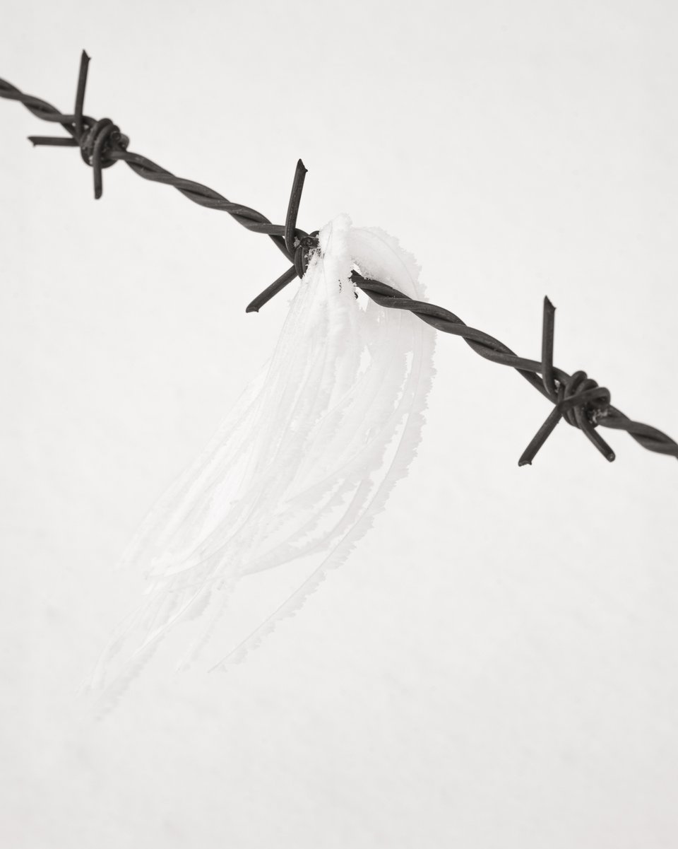 - Cody Schultz-3.jpg