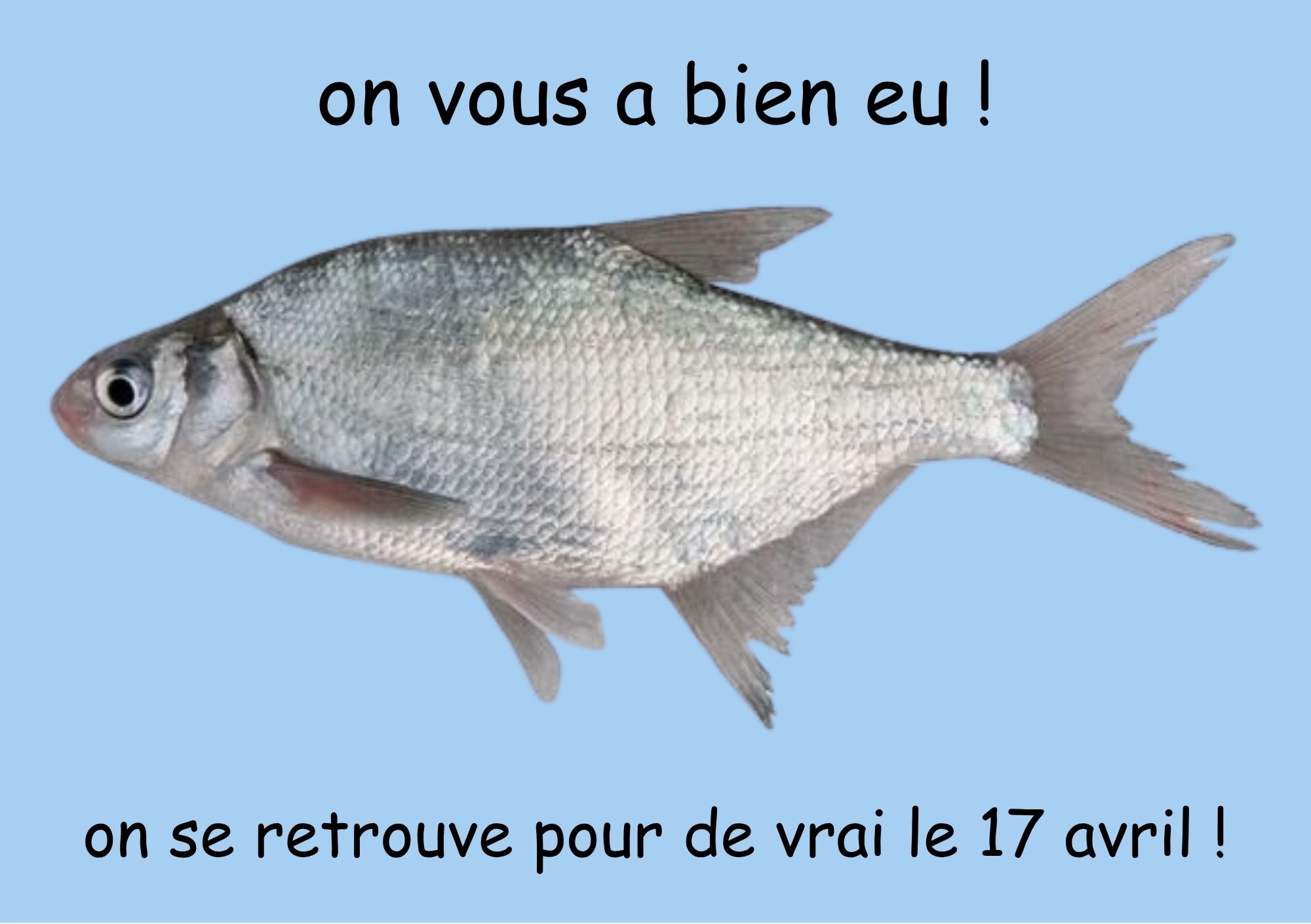 Image d'un poisson en png sur un fond bleu avec écrit "on vous a bien eu !" en haut et "on se retrouve pour de vrai le 17 avril !" en bas