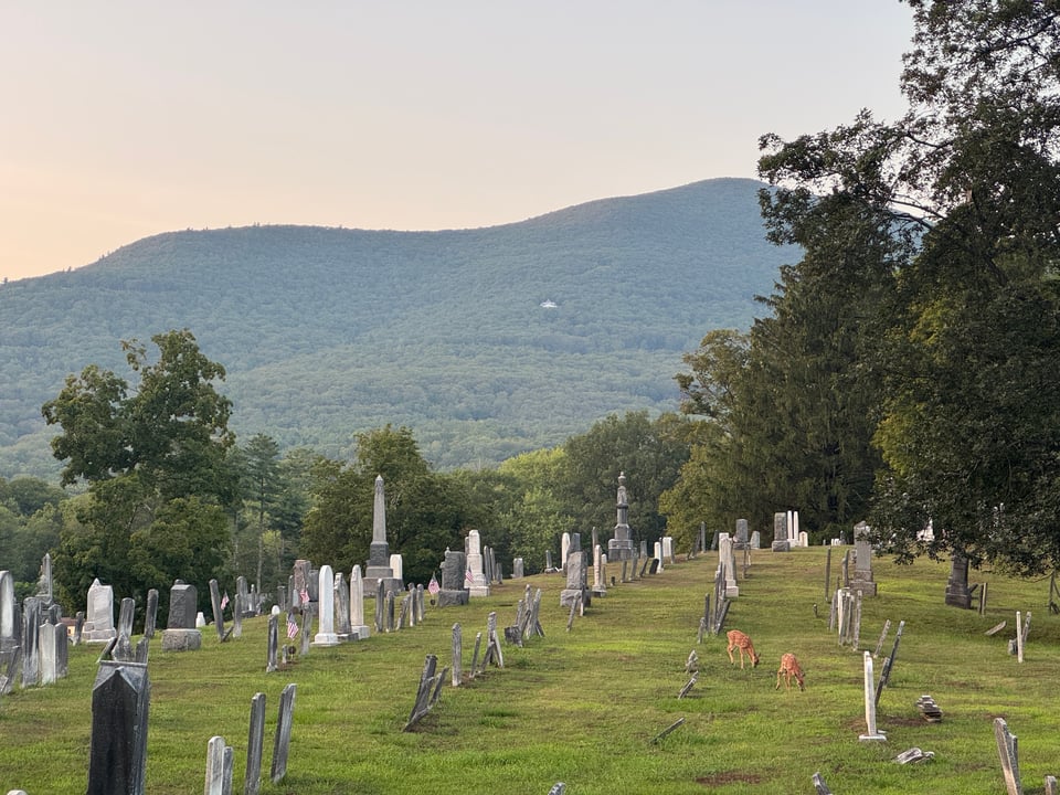 deer graze in a graveyard, with a mountain visible in the distance.