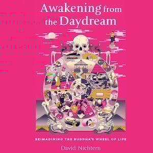 cover of Awakening from the daydream