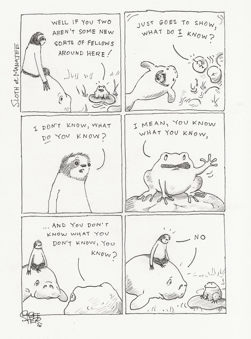The Toad Who Fell In A Hole