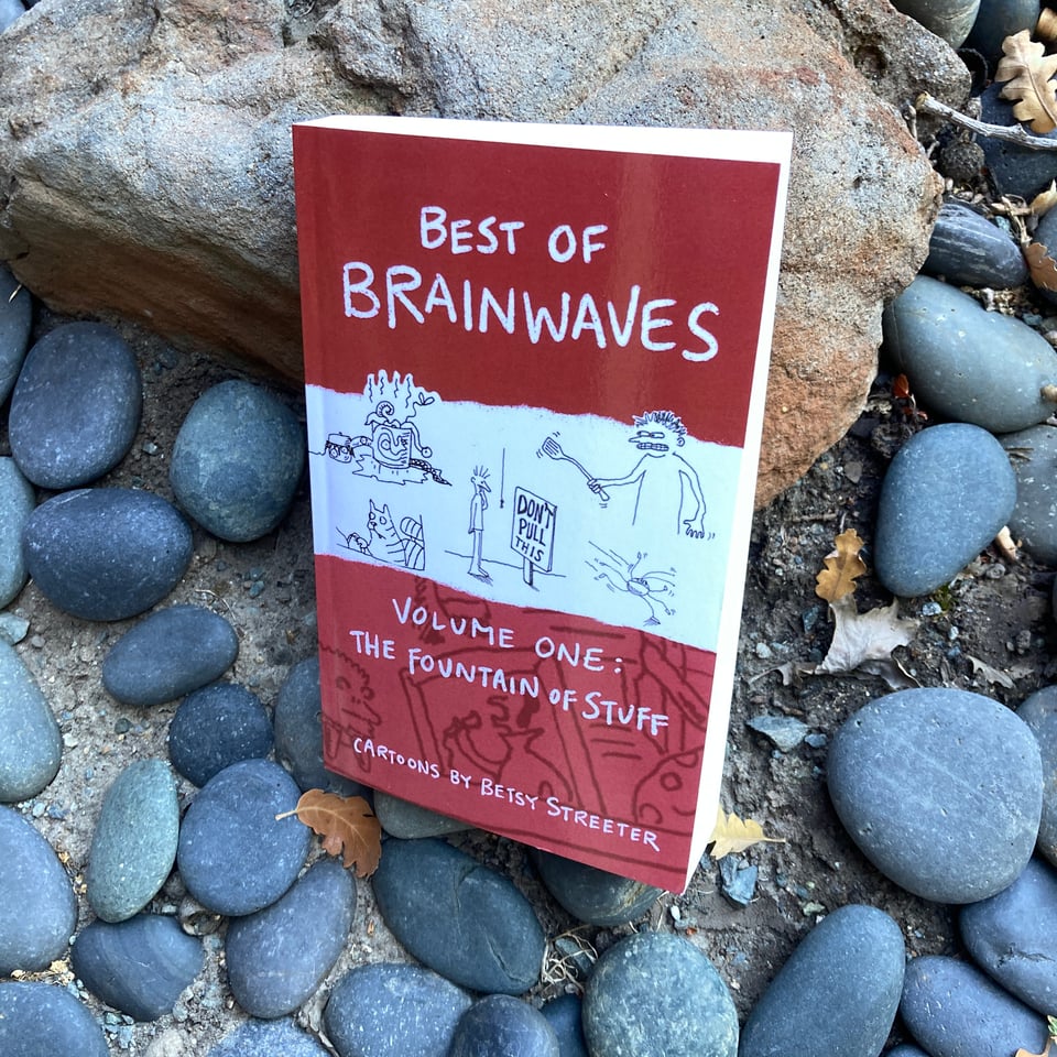 Photo of a copy of Brainwaves Volume One cartoon collection amongst some rocks