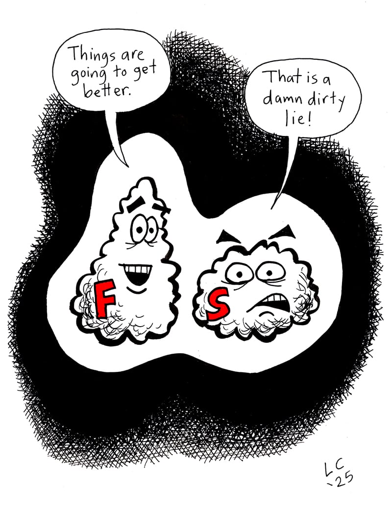 Two cartoon characters, Fuzzball and Scuzzball. Fuzzball says, "Things are going to get better!" Scuzzball replies, "That is a damn dirty lie!"