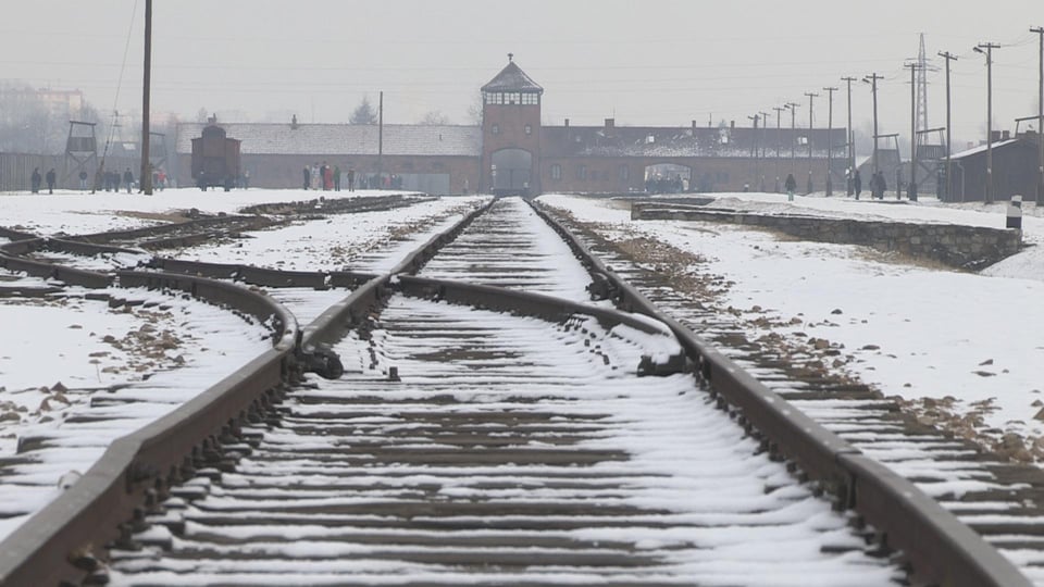 A still from The Last Ones of Auschwitz.
