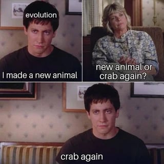 a donnie Darko meme. Donnie, tagged as "evolution," says to his therapist: I made a new animal. The therapist responds, "new animal, or crab again?" Donnie replies: "crab again."