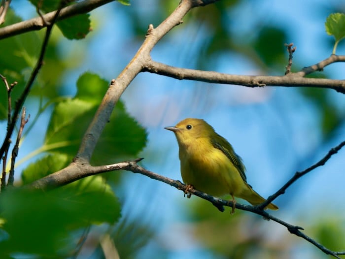 Learning Where We Are