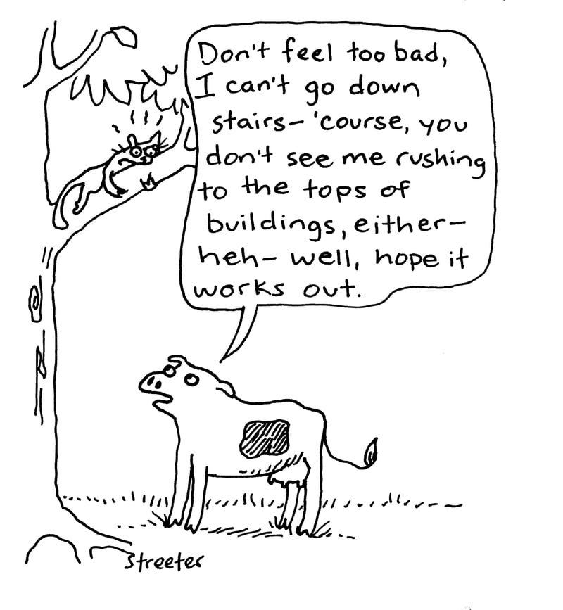 Cow talking to cat up a tree: "Don't feel too bad, I can't go down stairs - 'course, you don't see me rushing to the tops of buildings, either - heh - well, hope it works out."