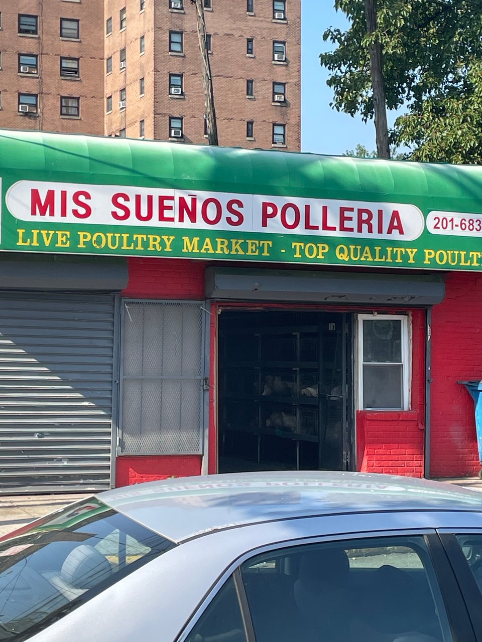 A live poultry shop, which I had never seen before