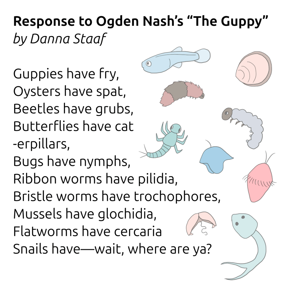 An illustrated poem. On the left is the text of the poem, Response to Ogden Nash's "The Guppy," by Danna Staaf. It reads: Guppies have fry, Oysters have spat, Beetles have grubs, Butterflies have cat, -erpillars, Bugs have nymphs, Ribbon worms have pilidia, Bristle worms have trochophores, Mussels have glochidia, Flatworms have cercaria, Snails have--wait, where are ya? Next to this poem, on the right, are drawings of all the larval forms mentioned in the poem colored in gentle pastels.
