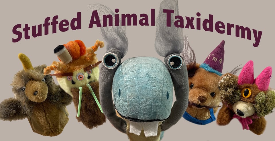 Stuffed Animal Taxidermy lineup