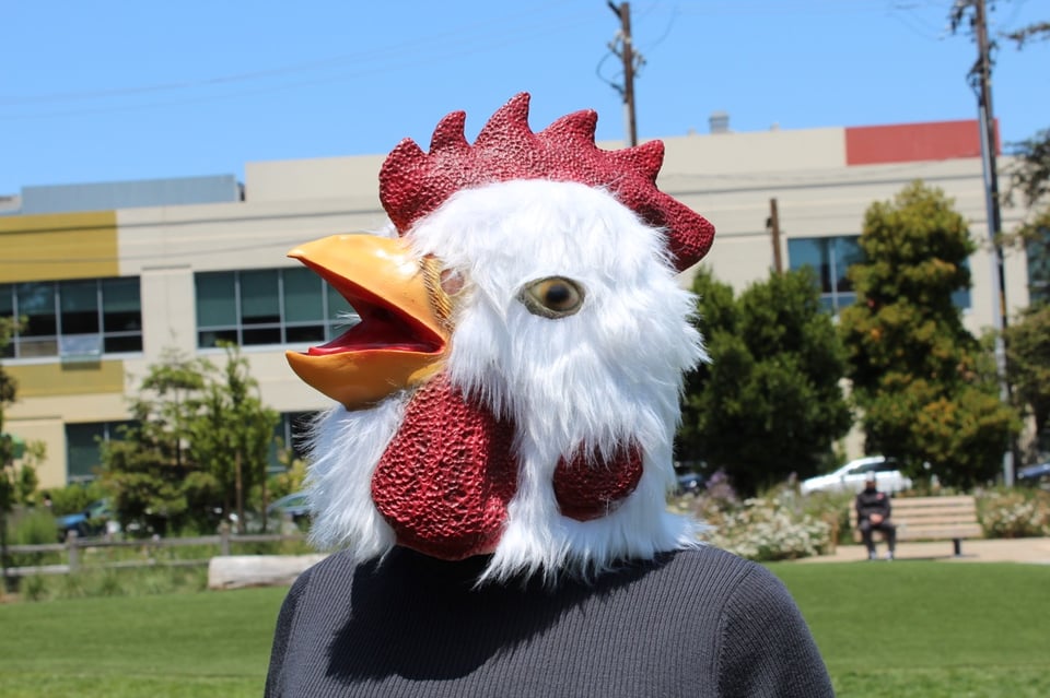 Erika wearing a full head chicken mask. In the park. Nice blue sky.