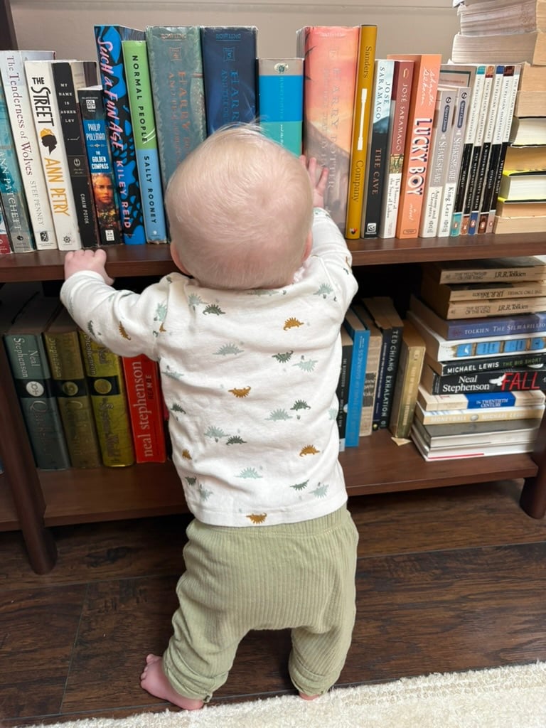 An image of a young white baby with blonde hair, seen from the back standing at a bookshelf looking at the spines of books.