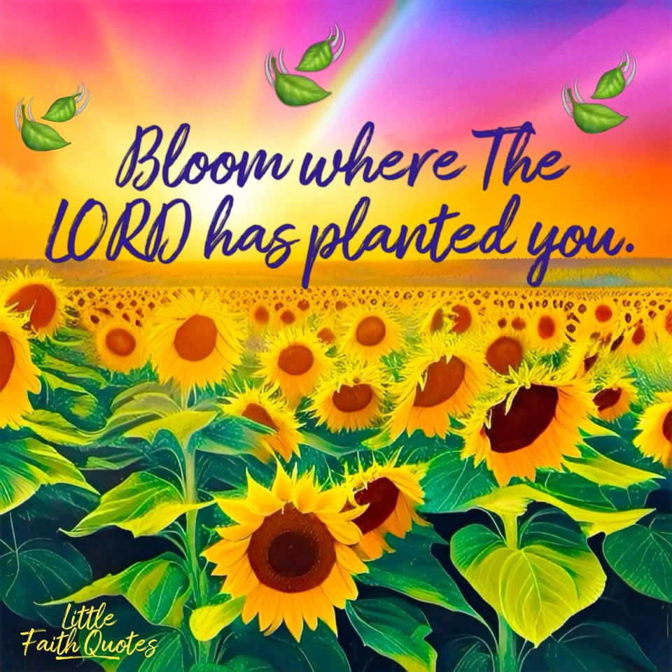 "Bloom where The LORD has planted you." Image by: @Little Faith Quotes