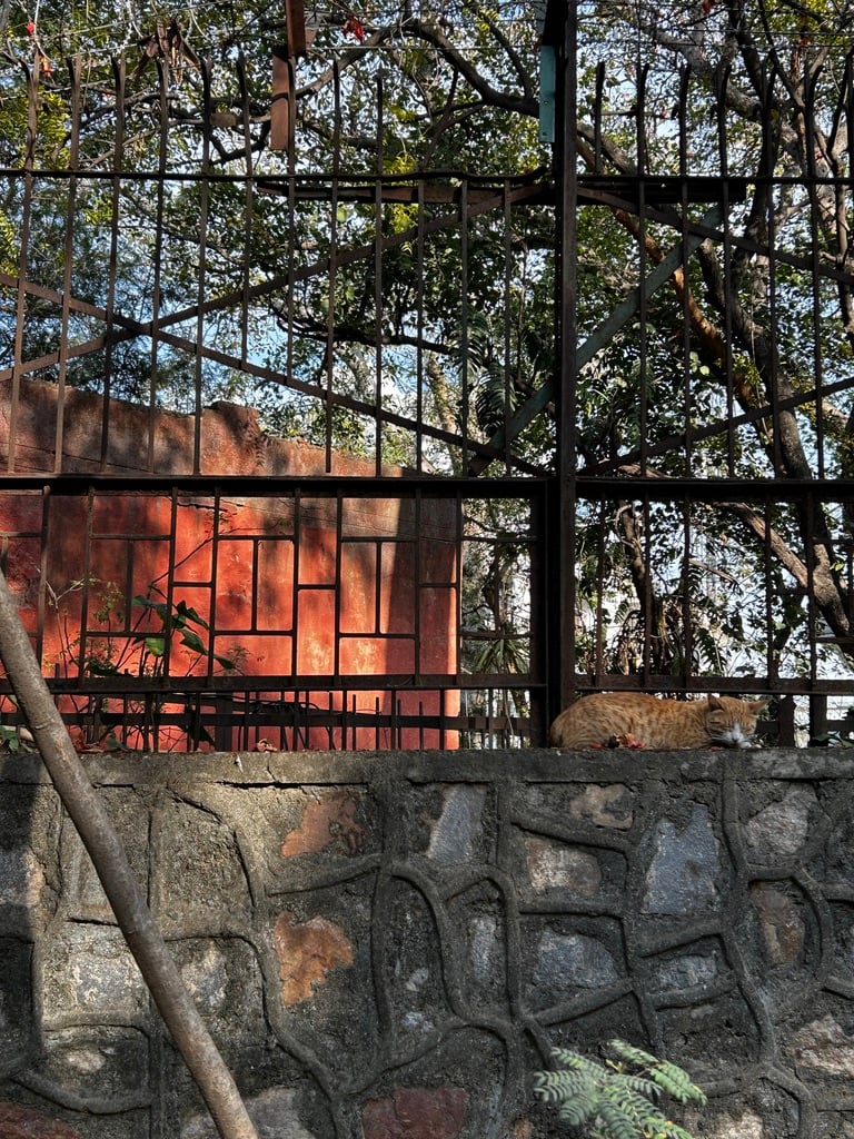 My year of suburban rest & relaxation