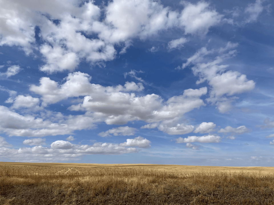 A picture of the American midwest, showing spacious skies and amber waves of grain, but honestly fuck all else for miles.