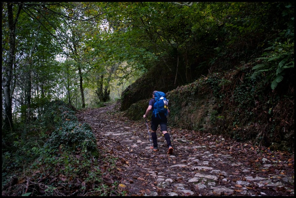 Pilgrim ascending a leaf-strewn ancient stone path into dense Galician forest, blue pack and compression socks visible from behind, ivy-covered earthen banks rising on either side