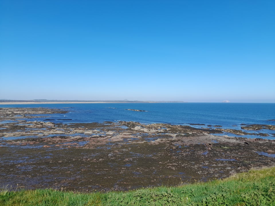 005: Sinking Into the Grass By the Sea