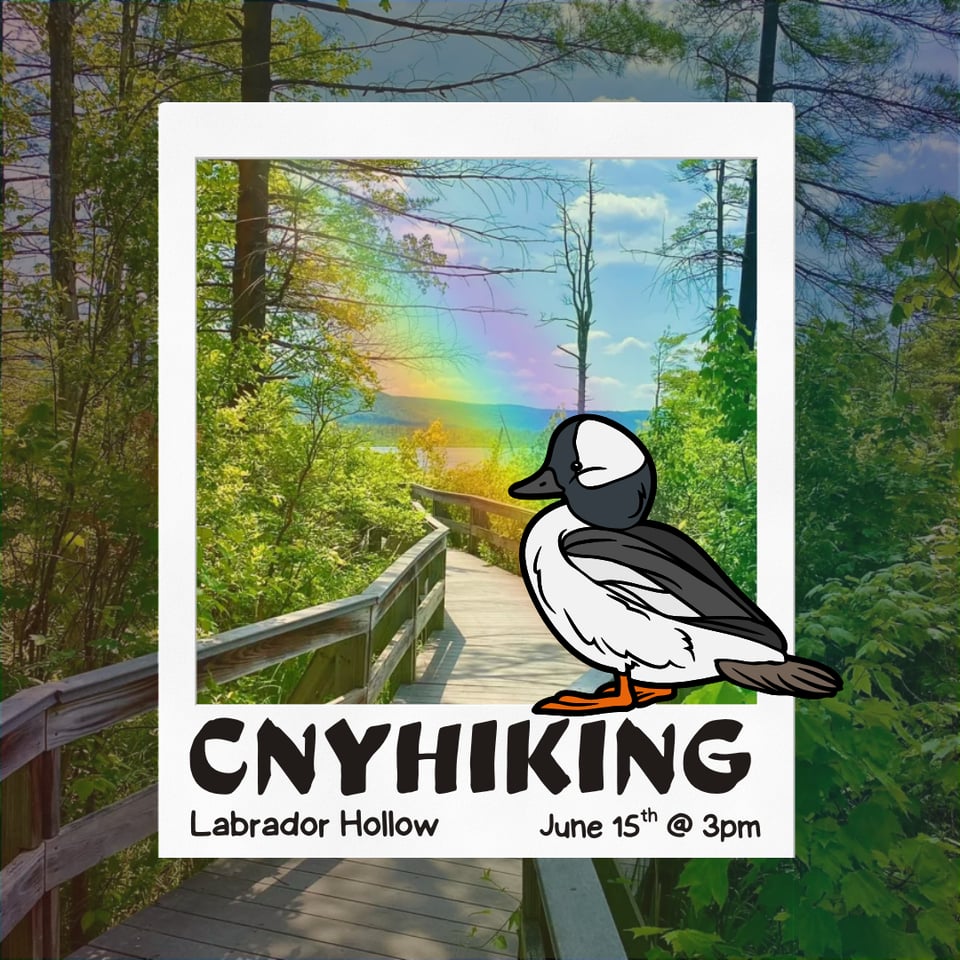 CNY Hiking Hike at Labrador Hollow on June 15th at 3 PM