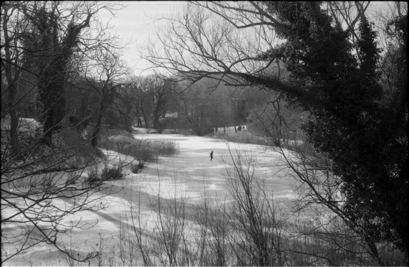 Letter #3: Is Snow just Snow, Snowy Prints, Chris Pierce, Polar Bears, Upcoming S(n)how