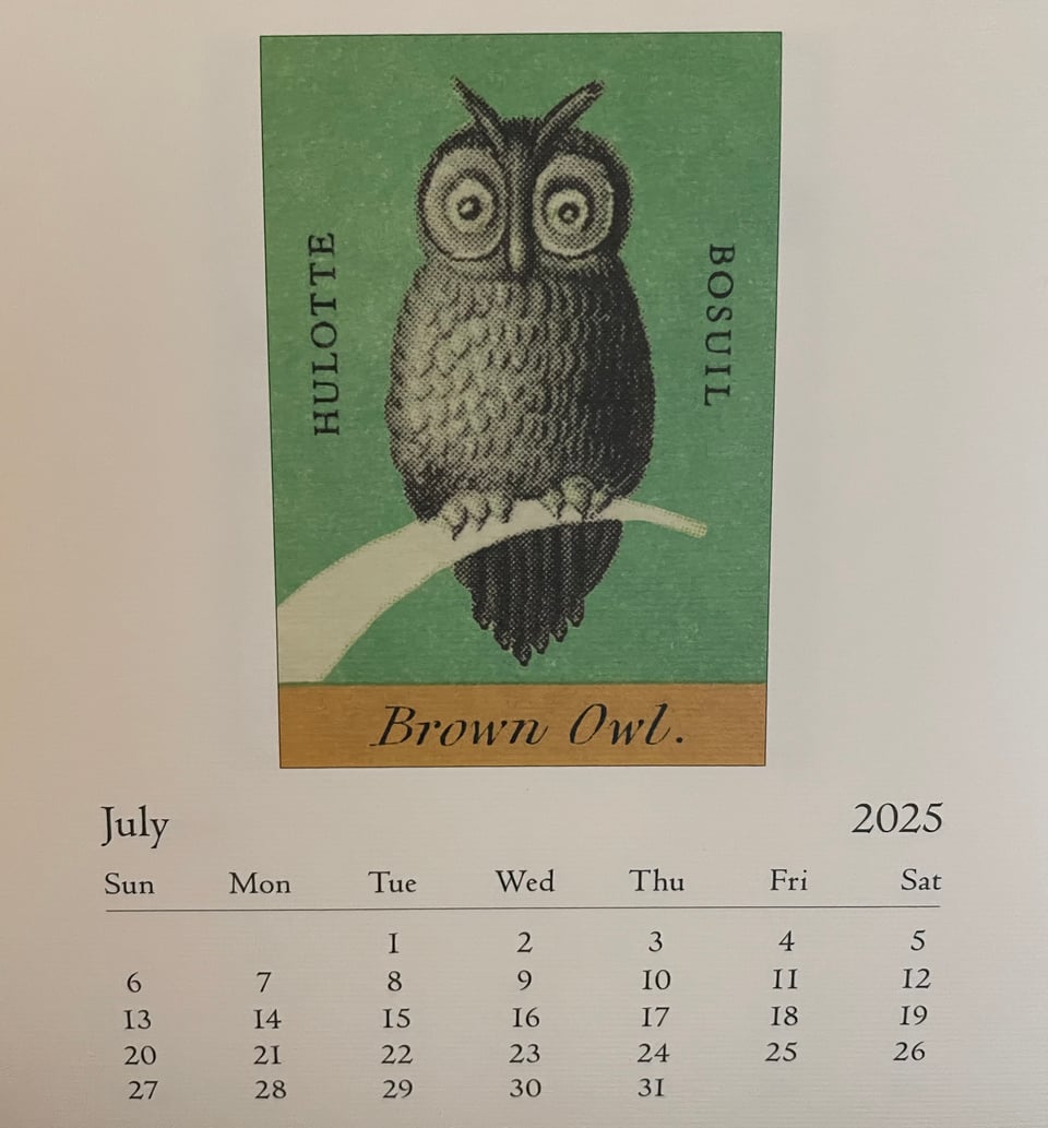 A desktop calendar with an old illustration of an owl on it. The owl's eyes bulge in joy or dismay. Who knows which?