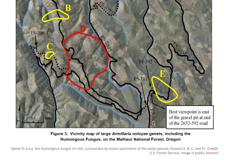 Screenshot 2025-07-18 at 09.12.38.png